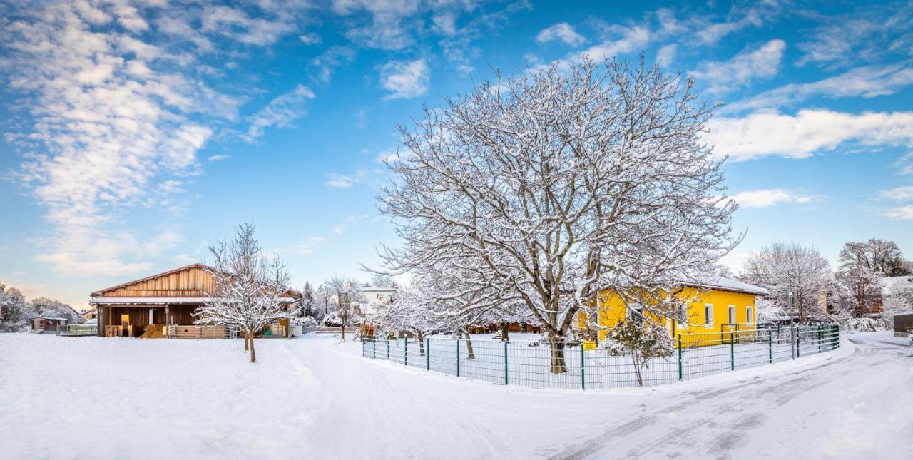 Ferienhaus Schlagerbauer Biohof سالزبورغ المظهر الخارجي الصورة